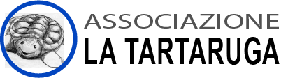 ASP La Tartaruga
